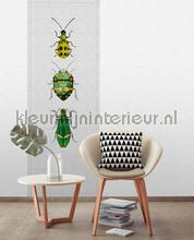 AS Creation Walls by Patel 2 dd114052 | Bestellen bij https://www.kleurmijninterieur.nl/