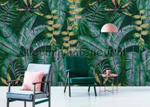 AS Creation Walls by Patel 2 dd114067 | Bestellen bij https://www.kleurmijninterieur.nl/