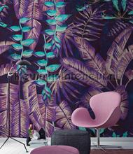 AS Creation Walls by Patel 2 dd114087 | Bestellen bij https://www.kleurmijninterieur.nl/