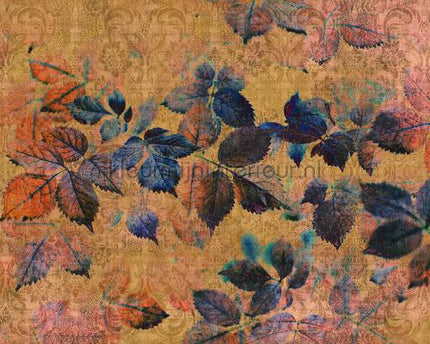 AS Creation Walls by Patel 2 dd114097 | Bestellen bij https://www.kleurmijninterieur.nl/