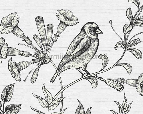 AS Creation Walls by Patel dd110416 | Bestellen bij https://www.kleurmijninterieur.nl/