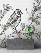 AS Creation Walls by Patel dd110416 | Bestellen bij https://www.kleurmijninterieur.nl/