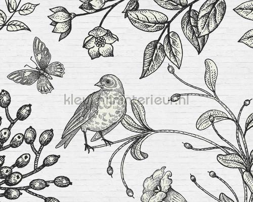 AS Creation Walls by Patel dd110421 | Bestellen bij https://www.kleurmijninterieur.nl/