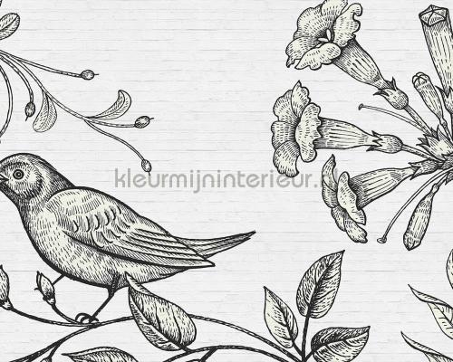 AS Creation Walls by Patel dd110426 | Bestellen bij https://www.kleurmijninterieur.nl/