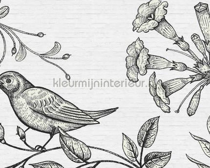 AS Creation Walls by Patel dd110426 | Bestellen bij https://www.kleurmijninterieur.nl/