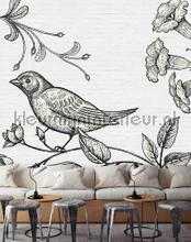 AS Creation Walls by Patel dd110426 | Bestellen bij https://www.kleurmijninterieur.nl/
