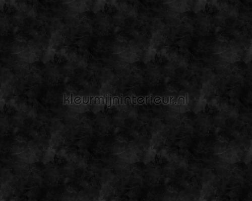 AS Creation Walls by Patel dd110306 | Bestellen bij https://www.kleurmijninterieur.nl/