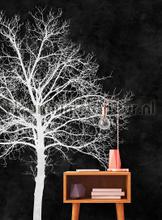 AS Creation Walls by Patel dd110311 | Bestellen bij https://www.kleurmijninterieur.nl/