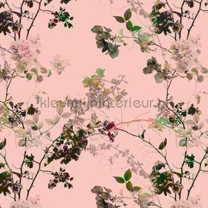 AS Creation Walls by Patel dd110276 | Bestellen bij https://www.kleurmijninterieur.nl/