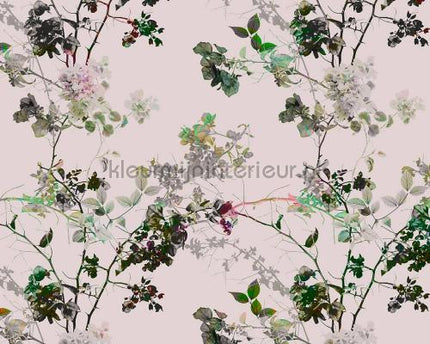 AS Creation Walls by Patel dd110281 | Bestellen bij https://www.kleurmijninterieur.nl/