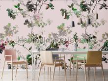 AS Creation Walls by Patel dd110281 | Bestellen bij https://www.kleurmijninterieur.nl/