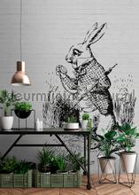 AS Creation Walls by Patel dd110441 | Bestellen bij https://www.kleurmijninterieur.nl/