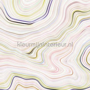 AS Creation Walls by Patel dd110831 | Bestellen bij https://www.kleurmijninterieur.nl/