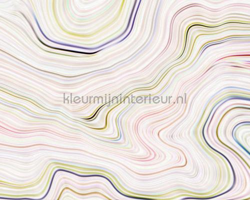 AS Creation Walls by Patel dd110831 | Bestellen bij https://www.kleurmijninterieur.nl/