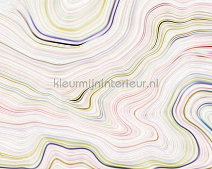 AS Creation Walls by Patel dd110831 | Bestellen bij https://www.kleurmijninterieur.nl/