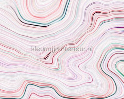 AS Creation Walls by Patel dd110836 | Bestellen bij https://www.kleurmijninterieur.nl/
