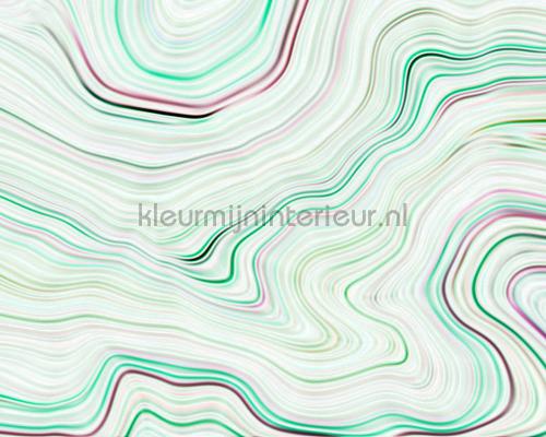 AS Creation Walls by Patel dd110841 | Bestellen bij https://www.kleurmijninterieur.nl/