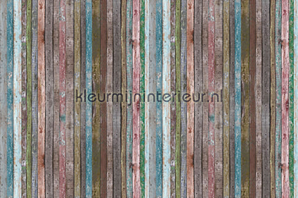 AS Creation XXL Wallpaper 2 470-340 | Bestellen bij https://www.kleurmijninterieur.nl/