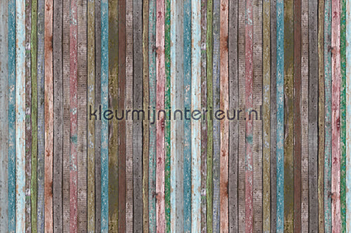AS Creation XXL Wallpaper 2 470-340 | Bestellen bij https://www.kleurmijninterieur.nl/