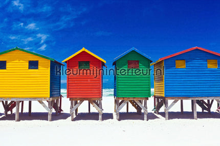 AS Creation XXL Wallpaper 2 470-339 | Bestellen bij https://www.kleurmijninterieur.nl/