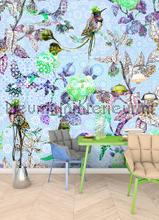 AS Creation Walls by Patel dd110206 | Bestellen bij https://www.kleurmijninterieur.nl/