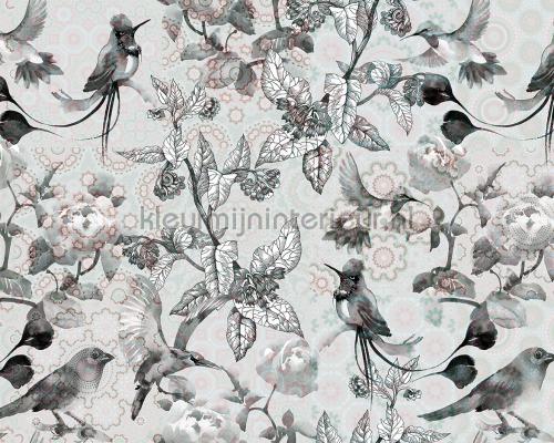 AS Creation Walls by Patel dd110301 | Bestellen bij https://www.kleurmijninterieur.nl/