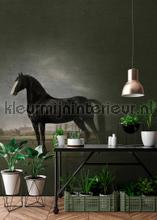AS Creation Walls by Patel dd110666 | Bestellen bij https://www.kleurmijninterieur.nl/