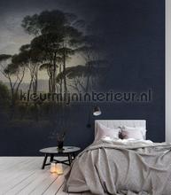 AS Creation Walls by Patel dd110671 | Bestellen bij https://www.kleurmijninterieur.nl/