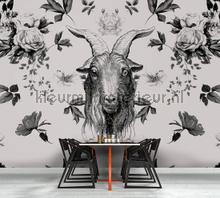 AS Creation Walls by Patel dd110386 | Bestellen bij https://www.kleurmijninterieur.nl/
