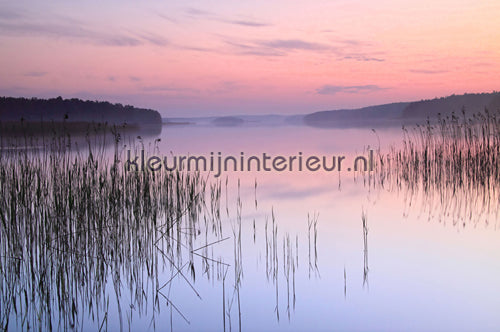 AS Creation XXL Wallpaper 2 470-313 | Bestellen bij https://www.kleurmijninterieur.nl/