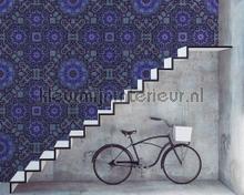 AS Creation Walls by Patel dd110611 | Bestellen bij https://www.kleurmijninterieur.nl/