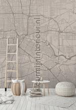 AS Creation Walls by Patel dd110881 | Bestellen bij https://www.kleurmijninterieur.nl/