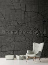 AS Creation Walls by Patel dd110886 | Bestellen bij https://www.kleurmijninterieur.nl/