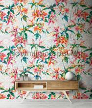 AS Creation Walls by Patel dd110211 | Bestellen bij https://www.kleurmijninterieur.nl/