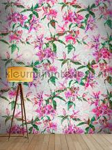AS Creation Walls by Patel dd110216 | Bestellen bij https://www.kleurmijninterieur.nl/