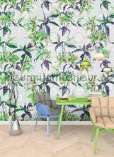 AS Creation Walls by Patel dd110221 | Bestellen bij https://www.kleurmijninterieur.nl/