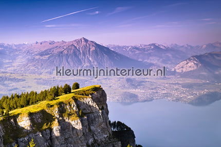 AS Creation XXL Wallpaper 2 470-384 | Bestellen bij https://www.kleurmijninterieur.nl/