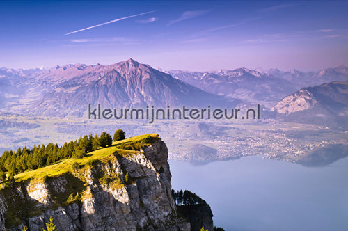 AS Creation XXL Wallpaper 2 470-384 | Bestellen bij https://www.kleurmijninterieur.nl/