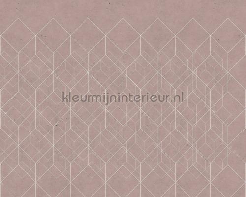 AS Creation Walls by Patel dd110896 | Bestellen bij https://www.kleurmijninterieur.nl/