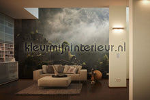 AS Creation XXL Wallpaper 2 470-308 | Bestellen bij https://www.kleurmijninterieur.nl/