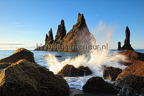 AS Creation XXL Wallpaper 2 470-312 | Bestellen bij https://www.kleurmijninterieur.nl/