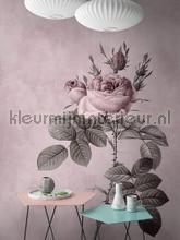 AS Creation Walls by Patel dd110741 | Bestellen bij https://www.kleurmijninterieur.nl/
