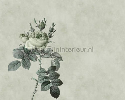 AS Creation Walls by Patel dd110746 | Bestellen bij https://www.kleurmijninterieur.nl/