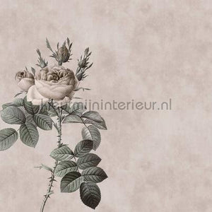AS Creation Walls by Patel dd110751 | Bestellen bij https://www.kleurmijninterieur.nl/