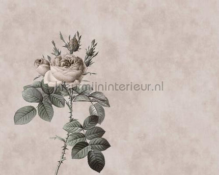 AS Creation Walls by Patel dd110751 | Bestellen bij https://www.kleurmijninterieur.nl/