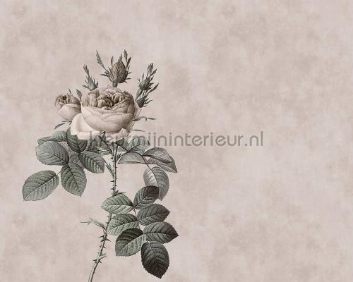AS Creation Walls by Patel dd110751 | Bestellen bij https://www.kleurmijninterieur.nl/