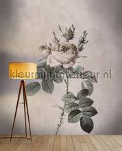 AS Creation Walls by Patel dd110751 | Bestellen bij https://www.kleurmijninterieur.nl/