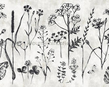 AS Creation Walls by Patel dd110351 | Bestellen bij https://www.kleurmijninterieur.nl/