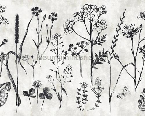 AS Creation Walls by Patel dd110351 | Bestellen bij https://www.kleurmijninterieur.nl/