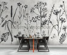 AS Creation Walls by Patel dd110351 | Bestellen bij https://www.kleurmijninterieur.nl/